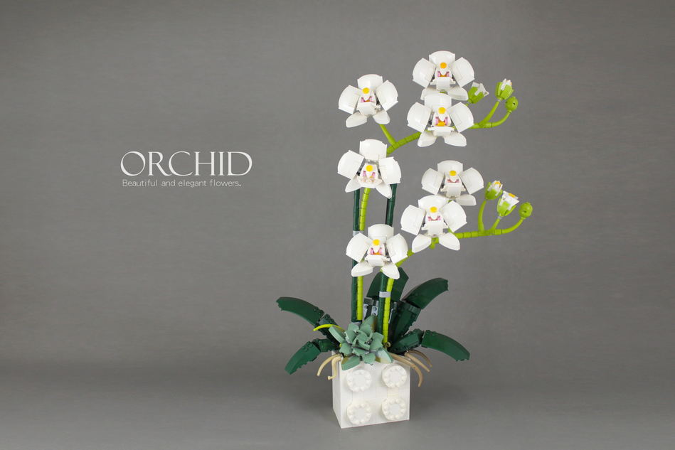 Lego Orchidea - Botanical Collection in arrivo nel 2022? - Il Mastro  Costruttore