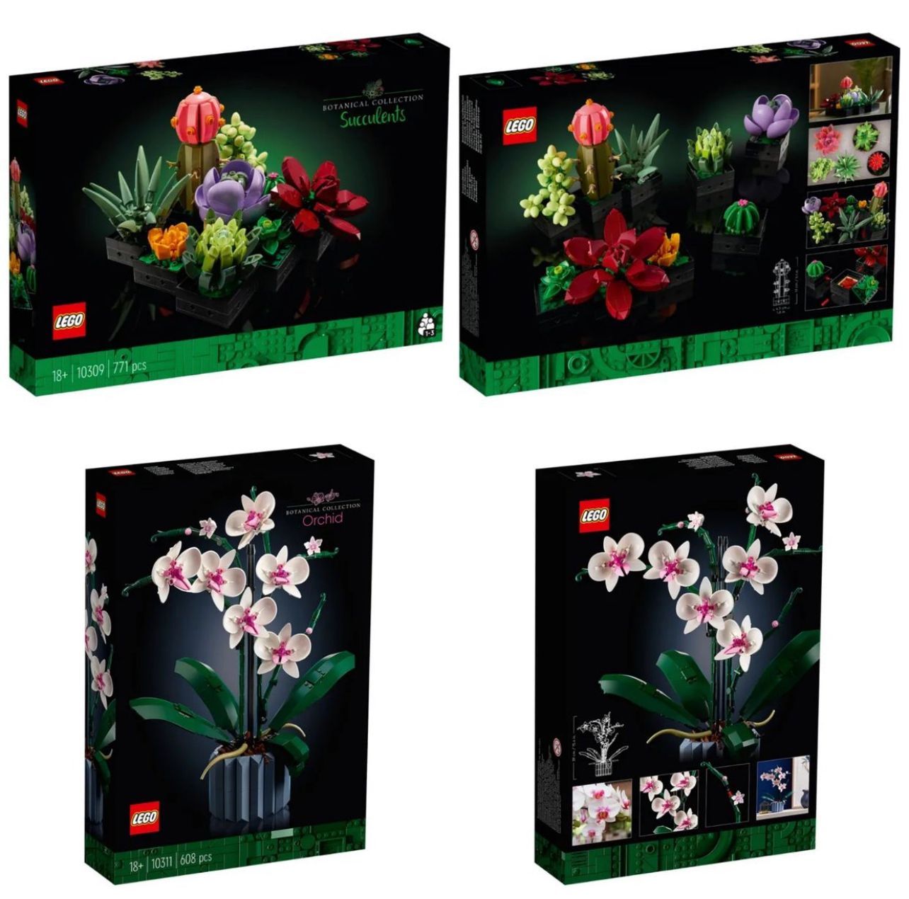 Ufficializzati i nuovi LEGO Botanical Collection: Piante grasse e Orchidea  (già ordinabile) - Il Mastro Costruttore