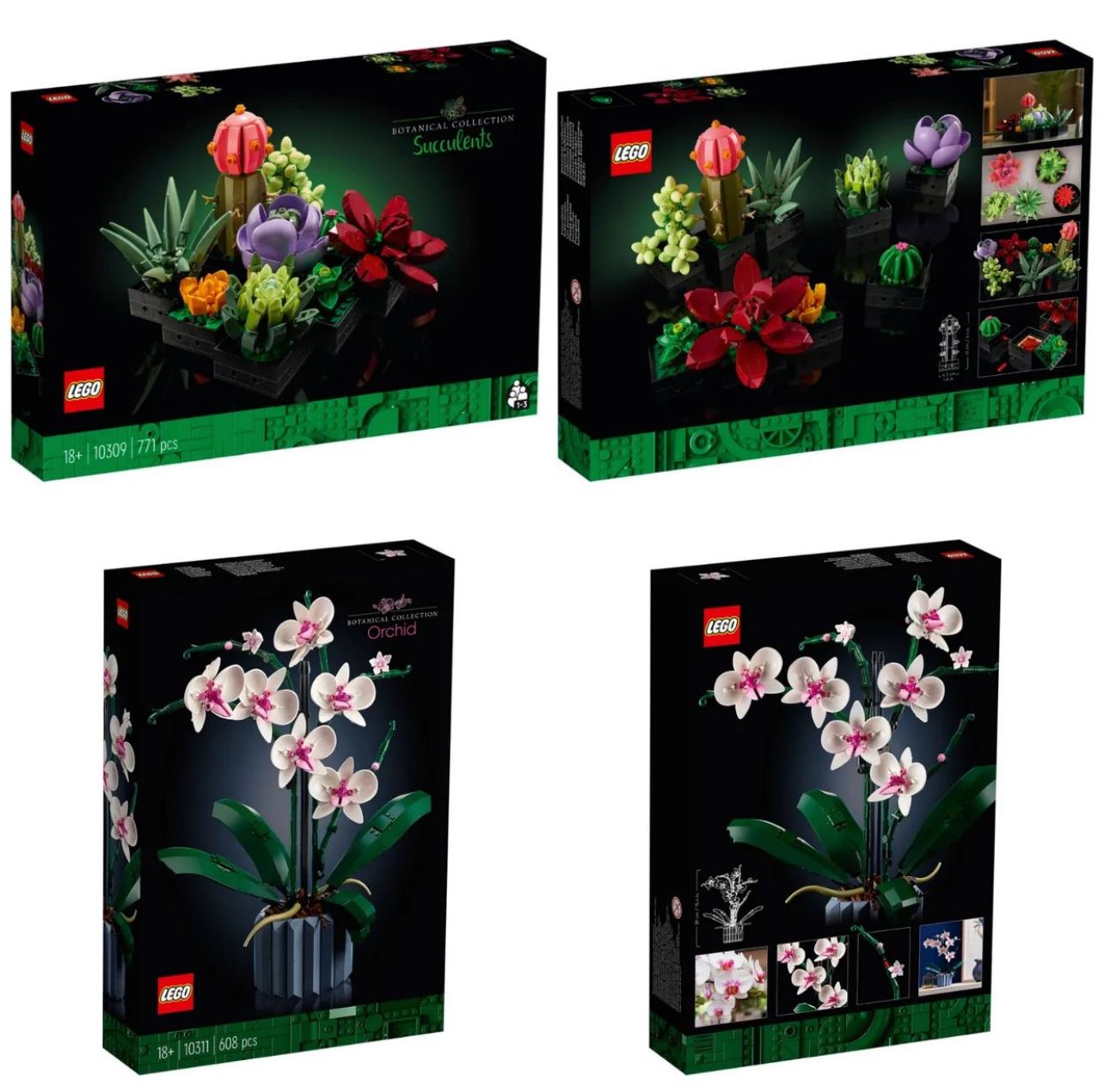 Ufficializzati i nuovi LEGO Botanical Collection: Piante grasse e